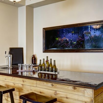 Jak wybrać witrynę na domowy barek?