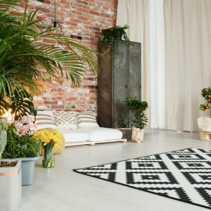 Jakie rośliny wybrać do domu i jak o nie dbać? Praktyczne wskazówki